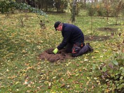 Pflanzaktion TSV Sportplatz 2016