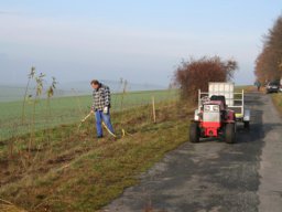 Pflanzaktion Weg zum Sportplatz 2008