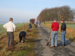 Pflanzaktion Weg zum Sportplatz 2008