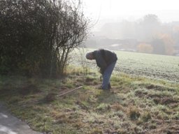 Pflanzaktion Weg zum Sportplatz 2008