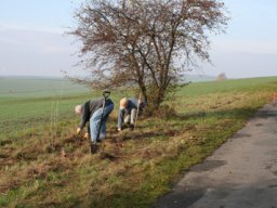 Pflanzaktion Weg zum Sportplatz 2008