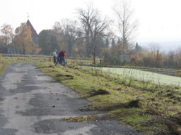 Pflanzaktion Weg zum Sportplatz 2008