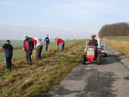 Pflanzaktion Weg zum Sportplatz 2008