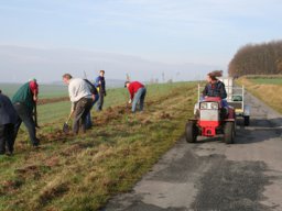 Pflanzaktion Weg zum Sportplatz 2008