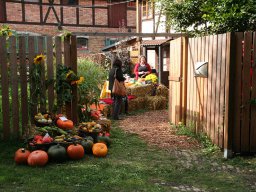 Tag des offenen Dorfes 2013