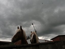 Tag des offenen Dorfes 2013