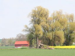 Landschaftsbilder