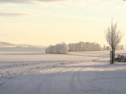 Winterimpressionen