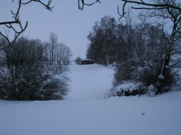 Winterimpressionen